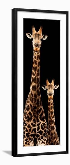 Safari Profile Collection - Giraffe and Baby Black Edition III-Philippe Hugonnard-Framed Photographic Print