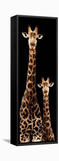 Safari Profile Collection - Giraffe and Baby Black Edition III-Philippe Hugonnard-Framed Stretched Canvas