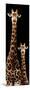 Safari Profile Collection - Giraffe and Baby Black Edition III-Philippe Hugonnard-Mounted Photographic Print