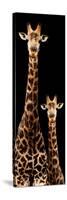 Safari Profile Collection - Giraffe and Baby Black Edition III-Philippe Hugonnard-Stretched Canvas