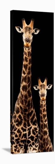 Safari Profile Collection - Giraffe and Baby Black Edition III-Philippe Hugonnard-Stretched Canvas