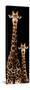 Safari Profile Collection - Giraffe and Baby Black Edition III-Philippe Hugonnard-Stretched Canvas