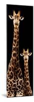 Safari Profile Collection - Giraffe and Baby Black Edition III-Philippe Hugonnard-Mounted Photographic Print
