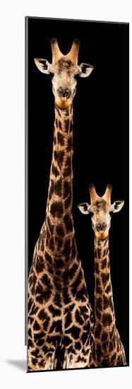 Safari Profile Collection - Giraffe and Baby Black Edition III-Philippe Hugonnard-Mounted Photographic Print