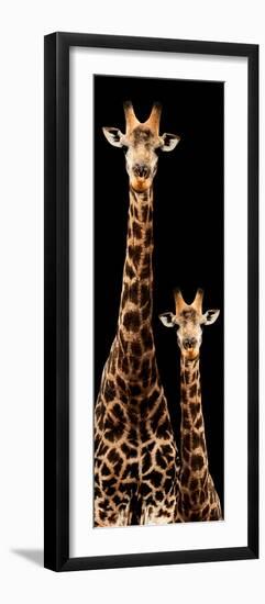 Safari Profile Collection - Giraffe and Baby Black Edition III-Philippe Hugonnard-Framed Premium Photographic Print