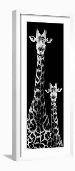 Safari Profile Collection - Giraffe and Baby Black Edition IV-Philippe Hugonnard-Framed Photographic Print