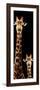 Safari Profile Collection - Giraffe and Baby Black Edition V-Philippe Hugonnard-Framed Photographic Print
