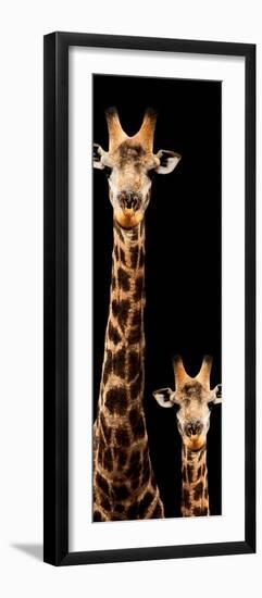 Safari Profile Collection - Giraffe and Baby Black Edition V-Philippe Hugonnard-Framed Photographic Print