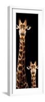 Safari Profile Collection - Giraffe and Baby Black Edition V-Philippe Hugonnard-Framed Photographic Print