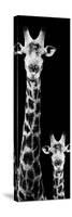 Safari Profile Collection - Giraffe and Baby Black Edition VI-Philippe Hugonnard-Stretched Canvas