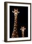 Safari Profile Collection - Giraffe and Baby Black Edition-Philippe Hugonnard-Framed Photographic Print