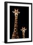 Safari Profile Collection - Giraffe and Baby Black Edition-Philippe Hugonnard-Framed Photographic Print