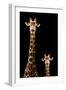 Safari Profile Collection - Giraffe and Baby Black Edition-Philippe Hugonnard-Framed Photographic Print