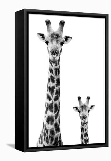 Safari Profile Collection - Giraffe and Baby White Edition II-Philippe Hugonnard-Framed Stretched Canvas