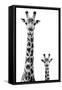 Safari Profile Collection - Giraffe and Baby White Edition II-Philippe Hugonnard-Framed Stretched Canvas