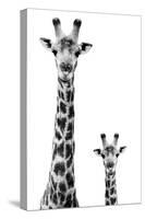 Safari Profile Collection - Giraffe and Baby White Edition II-Philippe Hugonnard-Stretched Canvas