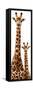 Safari Profile Collection - Giraffe and Baby White Edition III-Philippe Hugonnard-Framed Stretched Canvas