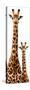 Safari Profile Collection - Giraffe and Baby White Edition III-Philippe Hugonnard-Stretched Canvas