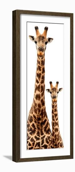 Safari Profile Collection - Giraffe and Baby White Edition III-Philippe Hugonnard-Framed Photographic Print