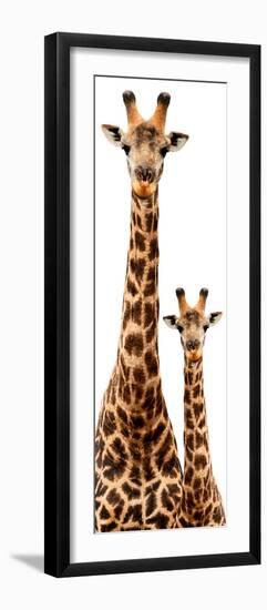 Safari Profile Collection - Giraffe and Baby White Edition III-Philippe Hugonnard-Framed Photographic Print