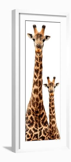 Safari Profile Collection - Giraffe and Baby White Edition III-Philippe Hugonnard-Framed Photographic Print