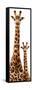 Safari Profile Collection - Giraffe and Baby White Edition III-Philippe Hugonnard-Framed Stretched Canvas