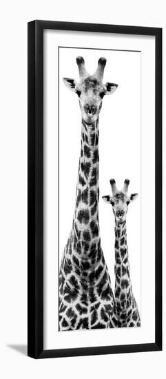 Safari Profile Collection - Giraffe and Baby White Edition IV-Philippe Hugonnard-Framed Photographic Print