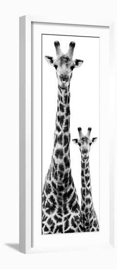 Safari Profile Collection - Giraffe and Baby White Edition IV-Philippe Hugonnard-Framed Photographic Print