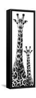 Safari Profile Collection - Giraffe and Baby White Edition IV-Philippe Hugonnard-Framed Stretched Canvas