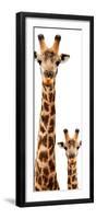 Safari Profile Collection - Giraffe and Baby White Edition V-Philippe Hugonnard-Framed Photographic Print