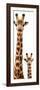 Safari Profile Collection - Giraffe and Baby White Edition V-Philippe Hugonnard-Framed Photographic Print