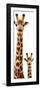 Safari Profile Collection - Giraffe and Baby White Edition V-Philippe Hugonnard-Framed Photographic Print