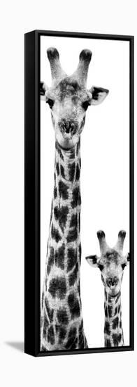 Safari Profile Collection - Giraffe and Baby White Edition VI-Philippe Hugonnard-Framed Stretched Canvas