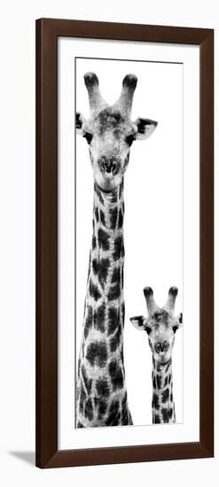 Safari Profile Collection - Giraffe and Baby White Edition VI-Philippe Hugonnard-Framed Photographic Print