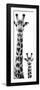 Safari Profile Collection - Giraffe and Baby White Edition VI-Philippe Hugonnard-Framed Photographic Print