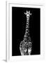 Safari Profile Collection - Giraffe Black Edition II-Philippe Hugonnard-Framed Photographic Print