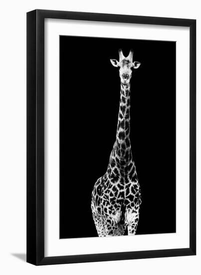 Safari Profile Collection - Giraffe Black Edition II-Philippe Hugonnard-Framed Photographic Print