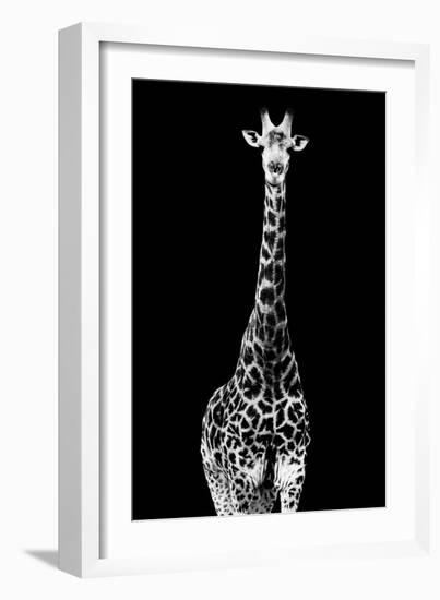 Safari Profile Collection - Giraffe Black Edition II-Philippe Hugonnard-Framed Photographic Print