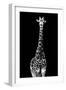 Safari Profile Collection - Giraffe Black Edition II-Philippe Hugonnard-Framed Photographic Print