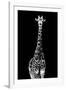 Safari Profile Collection - Giraffe Black Edition II-Philippe Hugonnard-Framed Photographic Print