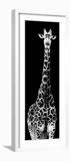 Safari Profile Collection - Giraffe Black Edition IV-Philippe Hugonnard-Framed Photographic Print