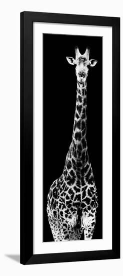 Safari Profile Collection - Giraffe Black Edition IV-Philippe Hugonnard-Framed Photographic Print