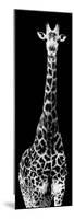 Safari Profile Collection - Giraffe Black Edition IV-Philippe Hugonnard-Mounted Photographic Print