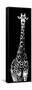 Safari Profile Collection - Giraffe Black Edition IV-Philippe Hugonnard-Framed Stretched Canvas
