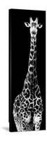 Safari Profile Collection - Giraffe Black Edition IV-Philippe Hugonnard-Stretched Canvas