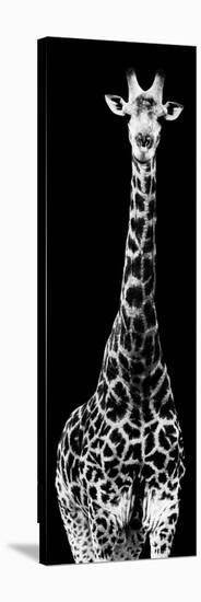 Safari Profile Collection - Giraffe Black Edition IV-Philippe Hugonnard-Stretched Canvas