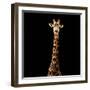 Safari Profile Collection - Giraffe Black Edition V-Philippe Hugonnard-Framed Photographic Print