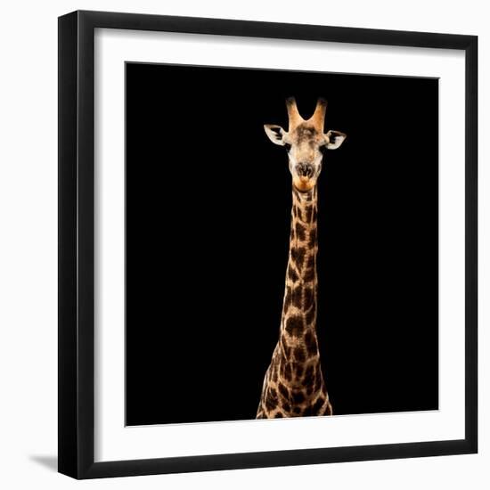 Safari Profile Collection - Giraffe Black Edition V-Philippe Hugonnard-Framed Photographic Print