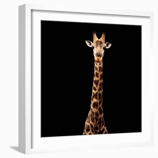 Safari Profile Collection - Giraffe Black Edition V-Philippe Hugonnard-Framed Photographic Print