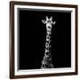 Safari Profile Collection - Giraffe Black Edition VI-Philippe Hugonnard-Framed Photographic Print